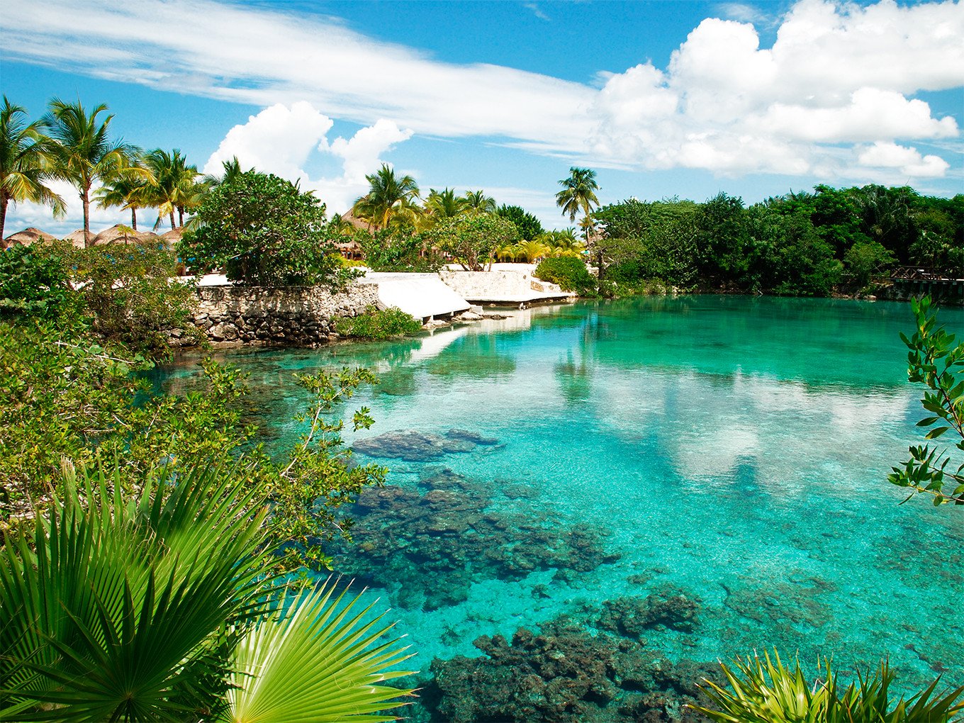 Hoteles en Cozumel, México | Mejores precios en Despegar